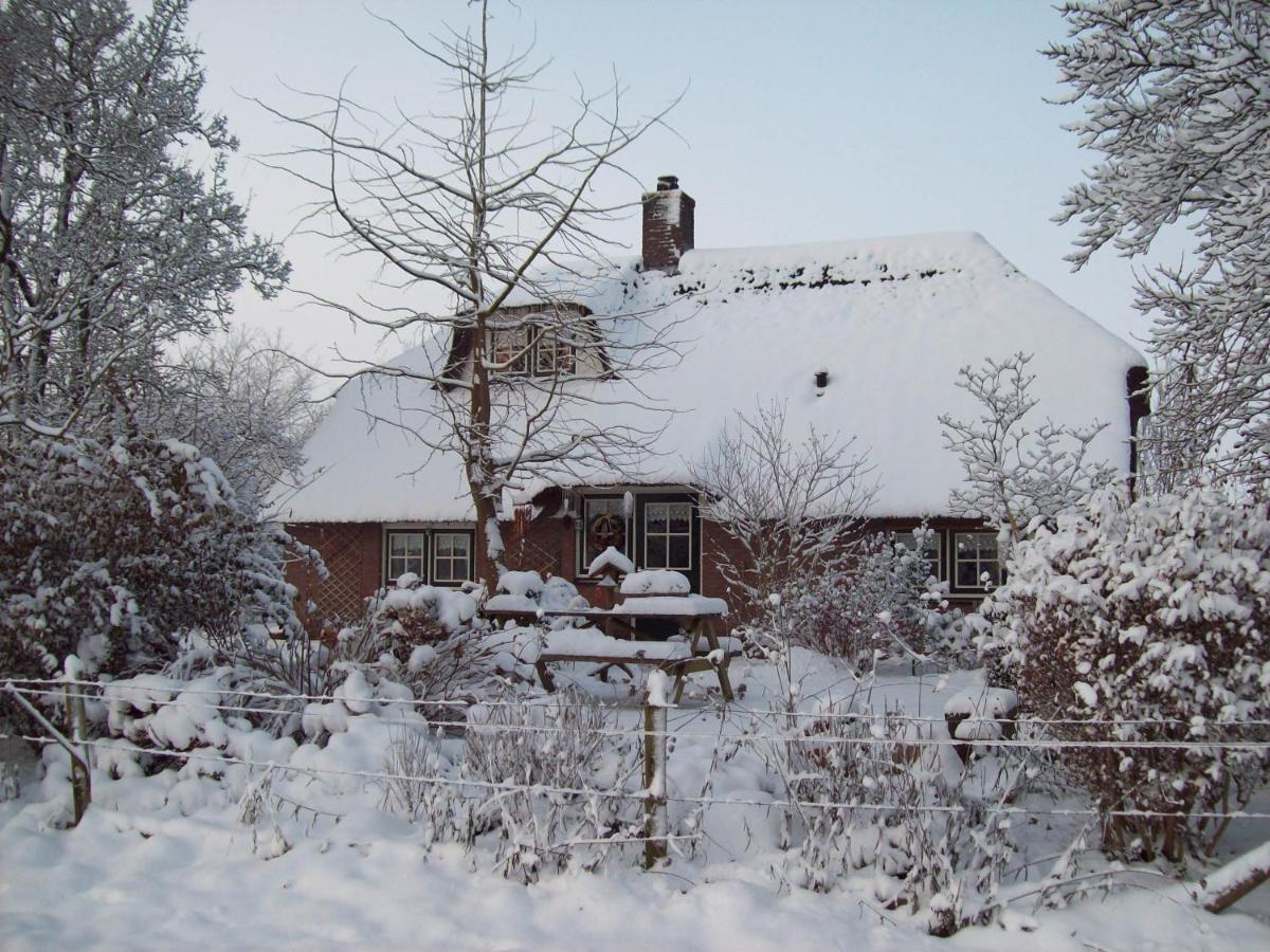 Anton'S Erfje Villa Dalfsen Bagian luar foto
