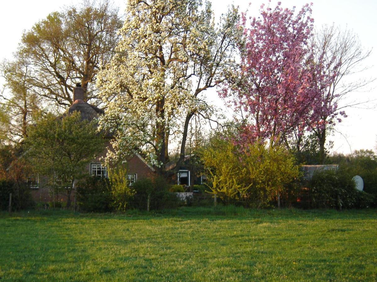 Anton'S Erfje Villa Dalfsen Bagian luar foto
